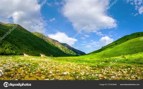 Summer Mountains Alpine Green Valley Mountain Nature Landscape Stock