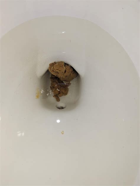 Morning Poop Rpoop