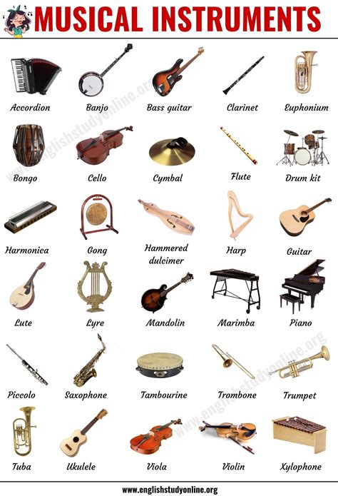 Different people like different music. Musical Instruments: List of 30 Popular Types of Instruments in English - English Study Online