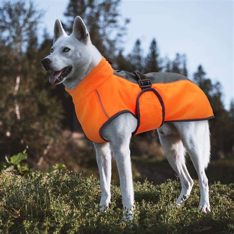 Dog Coats For Large Dogs Winter Waterproof Padded Jacket Doggie Pitbull
