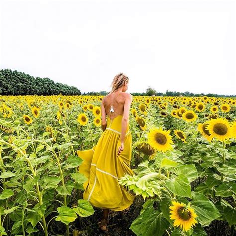 The gladiolus flower symbolizes honor, respect, faithfulness, strength of character, and remembrance. Sunflowers symbolize platonic love loyalty and bonds ...