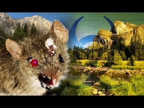 Hantaan virus, sin nombre virus, andes virus, puumala virus (examples). Hantavirus Outbreak in Yosemite! - YouTube