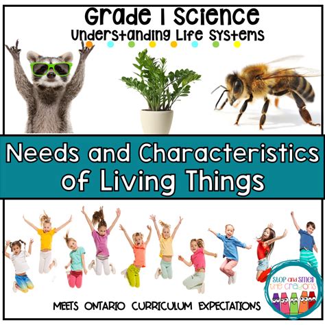 Needs And Characteristics Of Living Things Grade 1 Science Science
