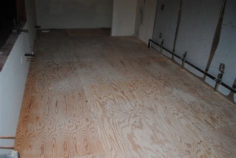 Daanis Epoxy Plywood Floors