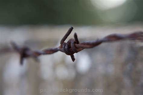 Free photo: Rusty barbed wire - Rust, Obstacle, Old - Free Download ...