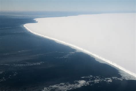 Miles Of Ice Collapsing Into The Sea The New York Times