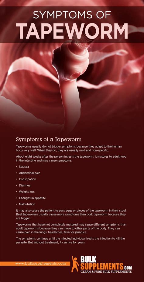 Taeniasis Tapeworm Causes Symptoms And Treatment By James Denlinger