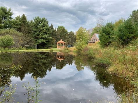 Cabin is 25 x 20. For sale in Upstate NY: Secluded hunting cabin with pond ...