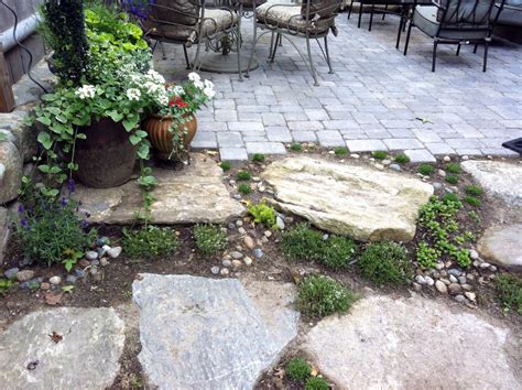 Courtyard And Container Garden Terrascapes