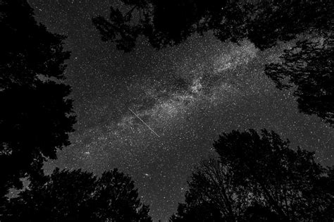 Paling Bagus 20+ Gambar Bulan Dan Bintang Hitam Putih ...