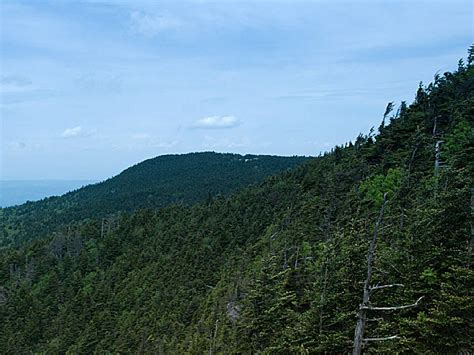 Maybe you would like to learn more about one of these? Cherokee National Forest, a Tennessee National Forest ...