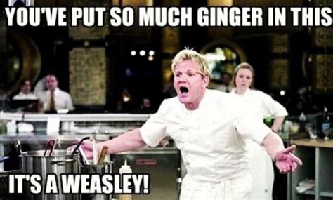 The Best Chef Ramsay Memes That Capture His Endless Talent For Insults