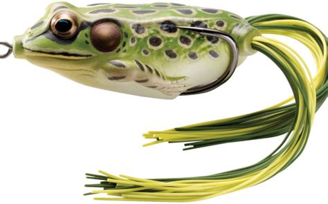 The 6 Best Topwater Frogs For Hot Summer Fishing Good Sam