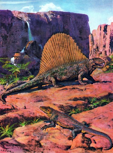 Triassic ∆ Jurassic ∆ Cretaceous — Dimetrodon And Varanosaurus By Zdeněk Burian Prehistoric