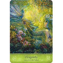 The box has a glossy finish with the image from the peacock card… Mystical Wisdom Card Deck: Gaye Guthrie, Josephine Wall, Josephine Wall: 9781572818323: Amazon ...
