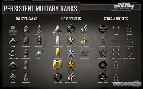The Us Military Wikkid Army Wikid Army Ranking System Fyi