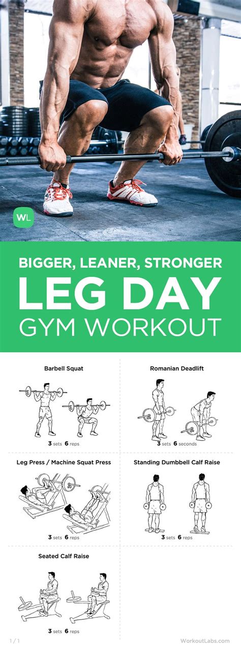 Mike Matthews Bigger Leaner Stronger Leg Day Workout For Men Workout Workout Plan Exercise