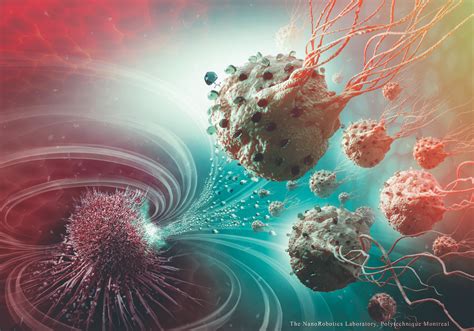 New Cancer Drug Delivery System Uses Magnetically Guided Bacteria To
