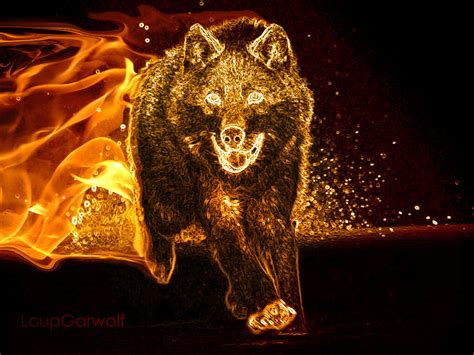 Fire Wolf V1 By Loupgarwolf On Deviantart