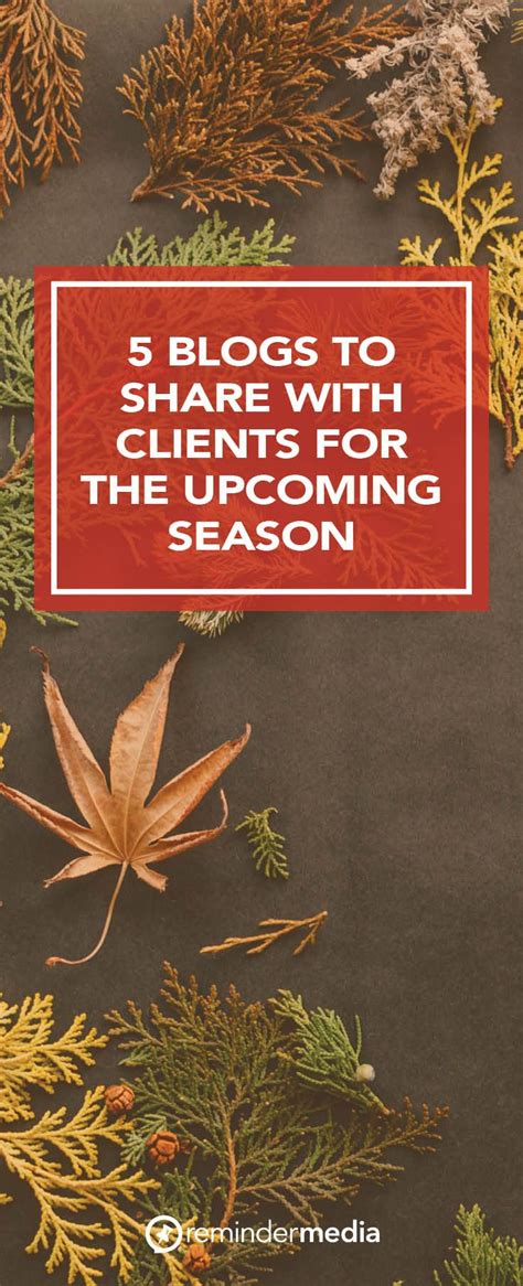 5 Blogs To Share With Clients For The Upcoming Season Remindermedia