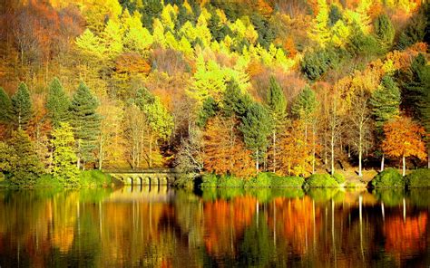 Autumn Wallpaper Download 1366768 High Definition Wallpaper