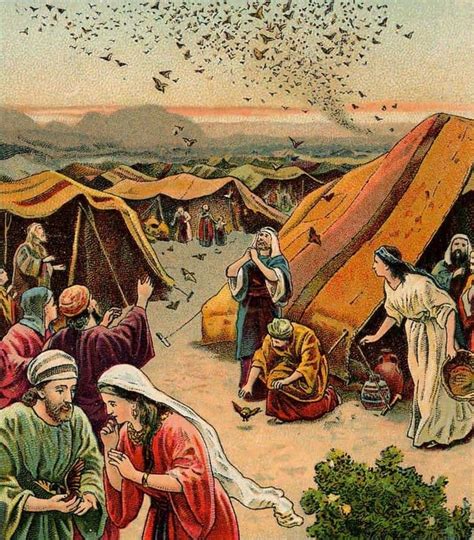 What Did Israelites Eat In The Desert Quora