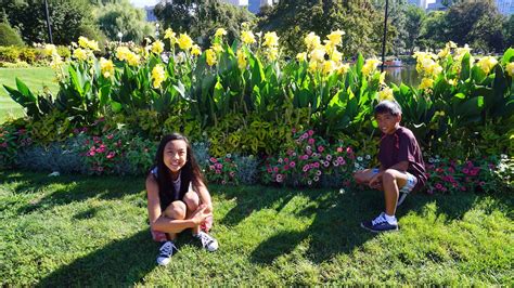 Visiting Boston Common And The Public Garden With Kids The World Is A