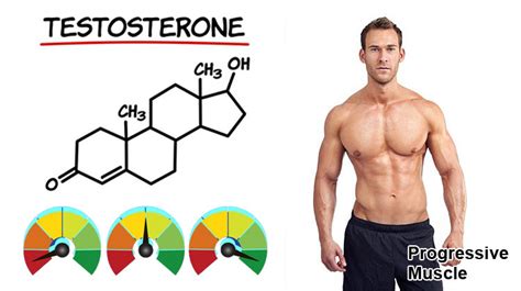 Testosterone Levels Whats Considered Normal High Or Low