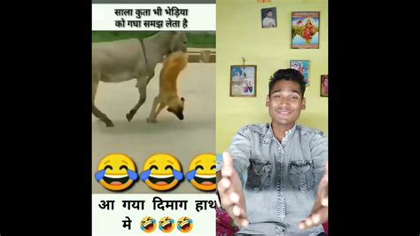 Viral Funny 🤣😂 Video Youtubeshorts Ytfeatures Funny Comedy