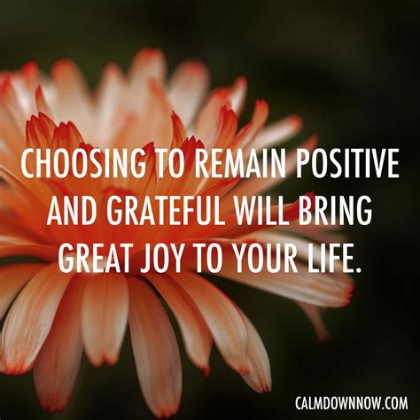 Choosing To Remain Positive And Grateful Will Bring Great Joy To Your