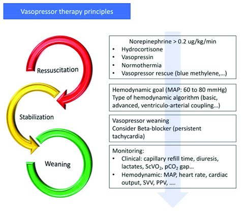Principles Of Vasopressor Treatment Map Mean Arterial Pressure Scvo 2
