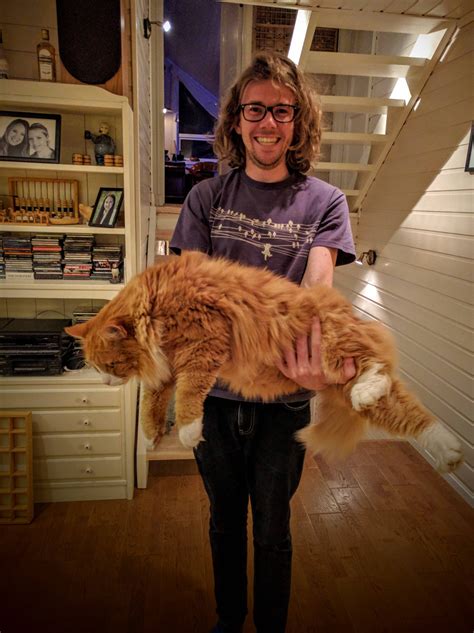 A Man Is Holding An Orange Cat In His Arms While Standing On The Wooden