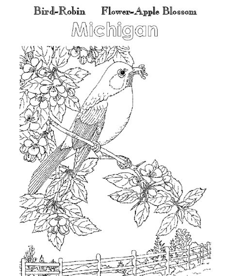 A To Z Kids Stuff Michigan State Bird Robin And State Flower Apple Blossom