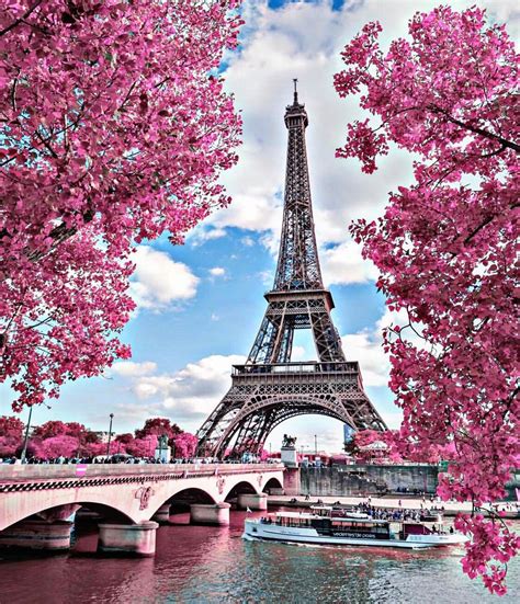 Browse millions of popular city wallpapers and ringtones on zedge and personalize. #freetoedit #background #remixit #paris #pink #eiffeltower ...