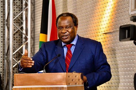 photos minister tito mboweni delivers 2020 budget speech in parliament. Tito Mboweni, Biography, Recipes, Age, Net Worth, Wife, Contacts