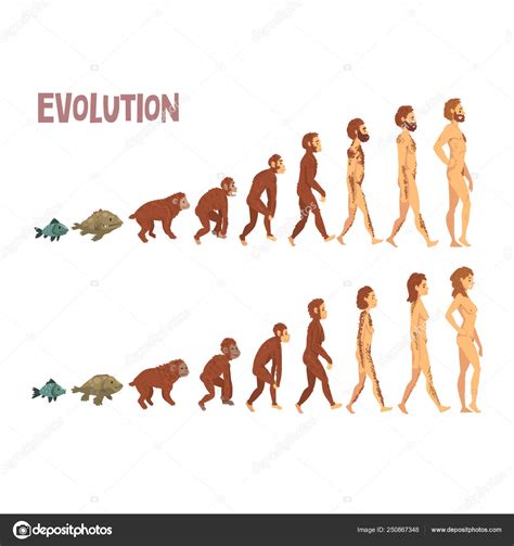 Evolucion Del Hombre