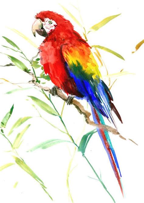 Watercolorsforlandlubbers Parrots Art Bird Watercolor Paintings