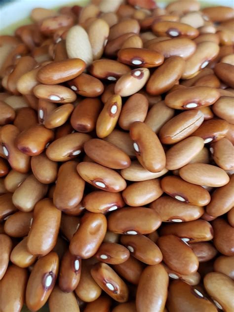 Tips To Preparing Dried Beans