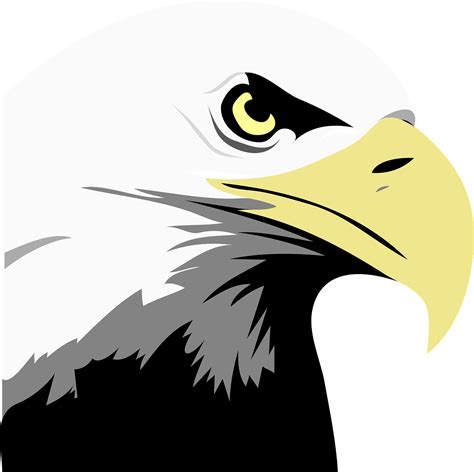 Eagle Clipart Face Eagle Face Transparent Free For Download On