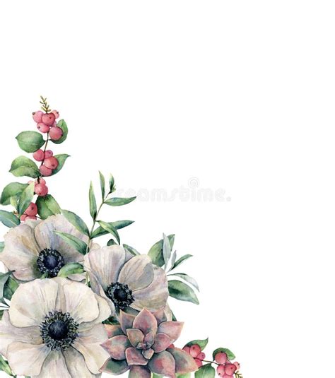 Watercolor White Anemone Succulent And Ranunculus Bouquet Set Hand