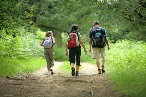 Une Nouvelle Appli Pour Se Balader En Forêt Et Dans Les Parcs Dile De