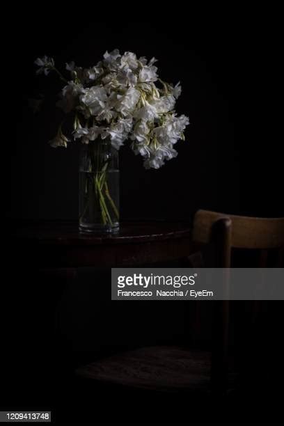 Glass Vase Black Background Photos And Premium High Res Pictures Getty Images