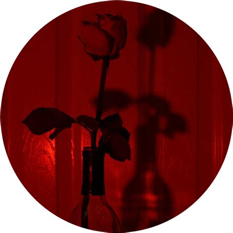 Red Aesthetic Profilepic Sticker By Marelyandrea