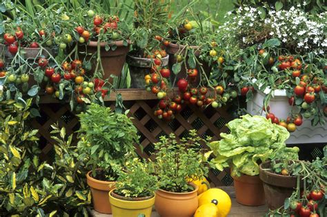 Big Gardening Ideas For Small Spaces Farmers Almanac Plan Your Day