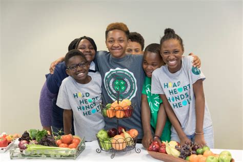 Children Youth Impacts Michigan 4 H Youth Development Fast Facts 4 H