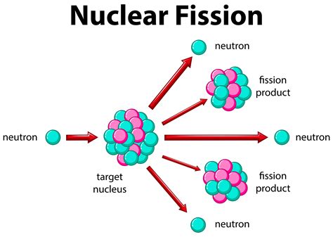 Nuclear fission, moreover, is viewed as one of the better ways of addressing 'climate change', with saving and efficiency relegated to secondary importance. Nuclear Fission Free Vector Art - (20 Free Downloads)