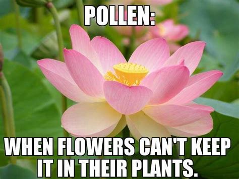 Whats Up Wednesday April Edition Plants Gardening Humor Biology Humor