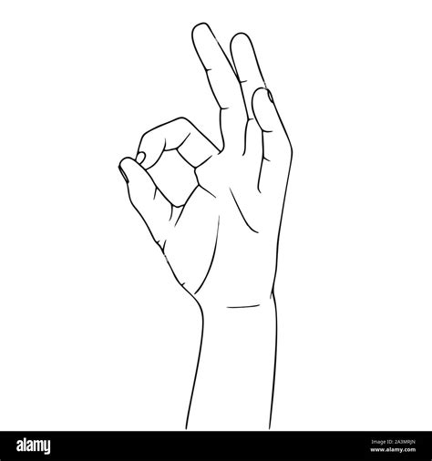 Hand Gesture Okay Illustration In Sketch Style Hand Drawn Vector