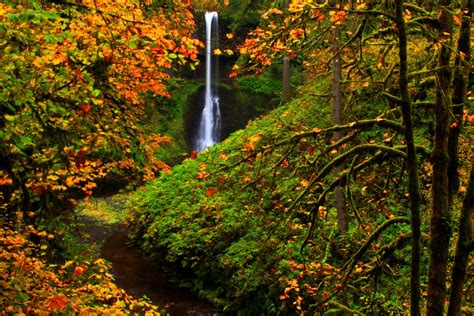 Silver Falls State Park Oregon In Autumn Hd Wallpaper