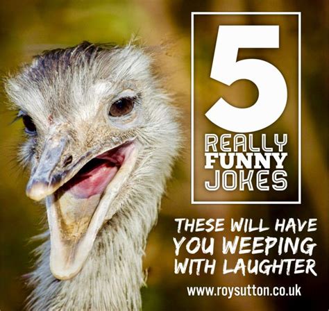 6 really funny jokes that will certainly make you smile really funny joke funny jokes really